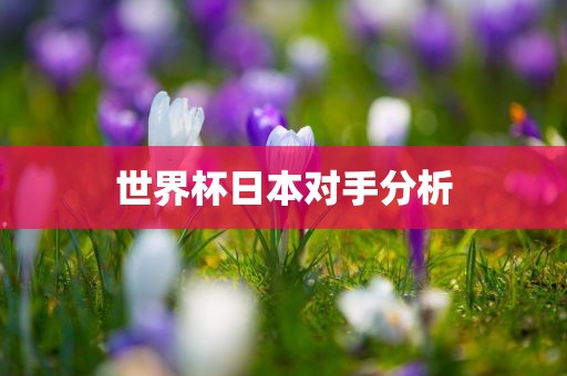 世界杯日本对手分析金炬实业股份有限公司