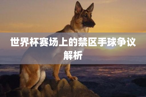 世界杯赛场 第7页