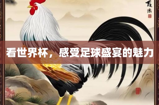 看世界杯，感受足球盛宴的魅力金炬实业股份有限公司