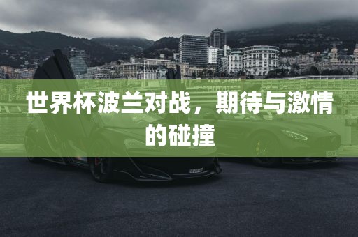 世界杯波兰对战，期待与激情的碰撞