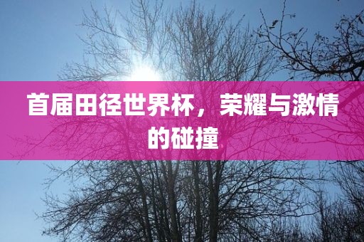 首届田径世界杯，荣耀与激情的碰撞