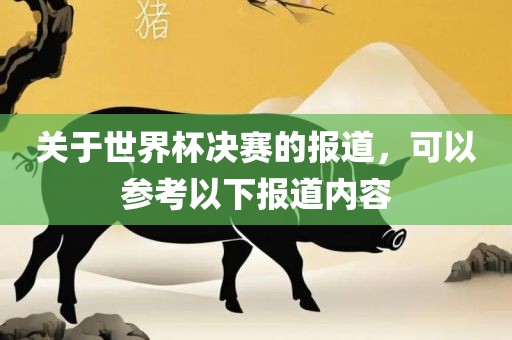 关于世界杯决赛的报道，可以参考以下报金炬实业股份有限公司道内容