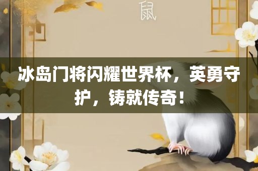 冰岛门将闪耀世界杯，英勇守护，铸就传奇！金炬实业股份有限公司