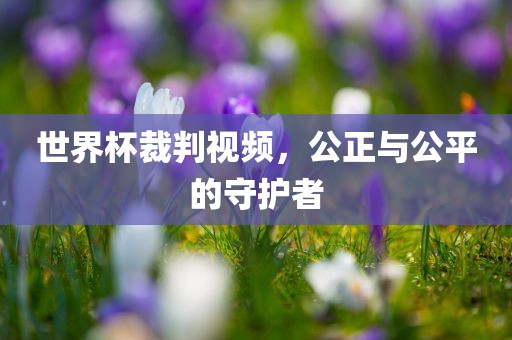 世界杯裁判视频，公正与公平的守护者金炬实业股份有限公司