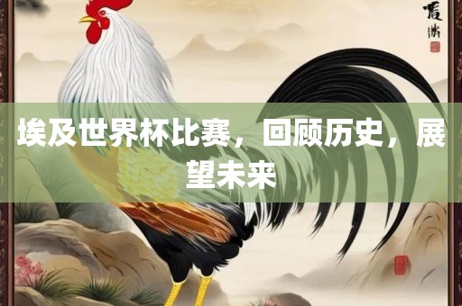 埃金炬实业股份有限公司及世界杯比赛，回顾历史，展望未来