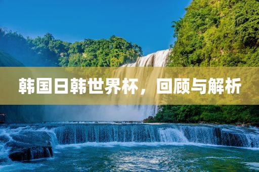 韩国日韩世界杯，回顾与解析