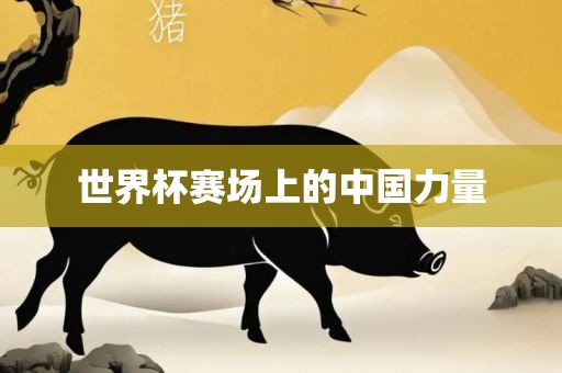 世界杯赛场上的中国力量