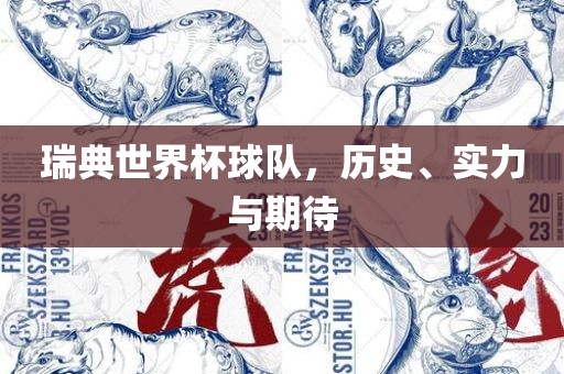 瑞典世界杯球队，历史、实力与期待