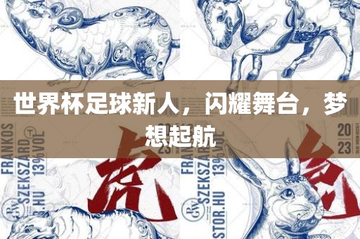 世界杯足球新人，闪耀舞台，梦想起航