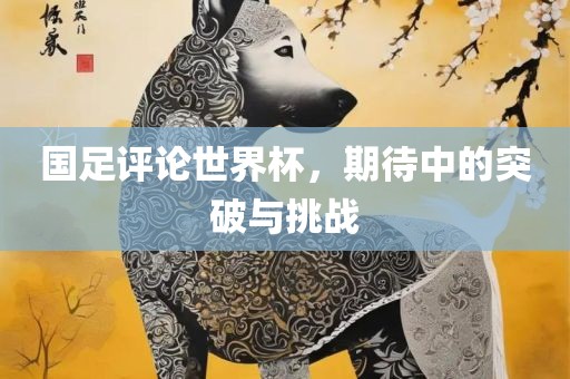 国足评论世界杯，期待中的突破金炬实业股份有限公司与挑战