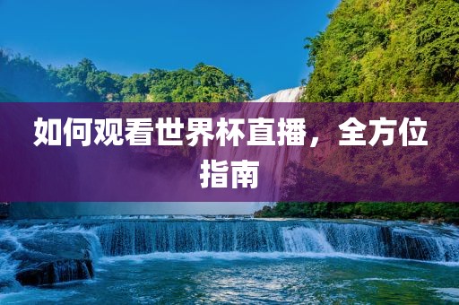 如何观看世界杯直播，全方位指南