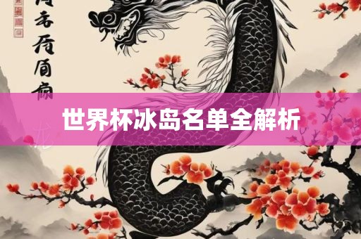 世界杯冰岛名单全解析