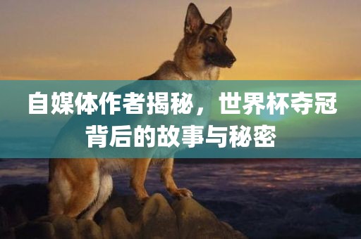 自媒体作者揭秘，世界杯夺冠背后的故事与秘密金炬实业股份有限公司