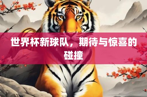 世界杯新球队，期待与惊喜的碰撞金炬实业股份有限公司