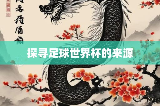 足球世界杯 第4页