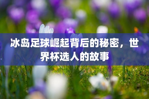 冰岛足球崛起背后的秘密，世界杯选人的故事