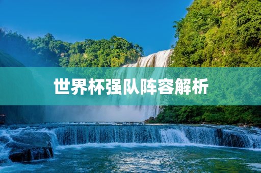 世界杯强队阵容解析