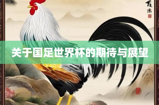 关于国足世界杯的期待与展望金炬实业股份有限公司