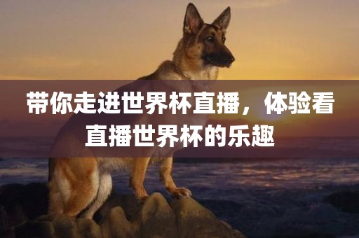 带你走进世界杯直播，体验看直播世界杯的乐趣金炬实业股份有限公司