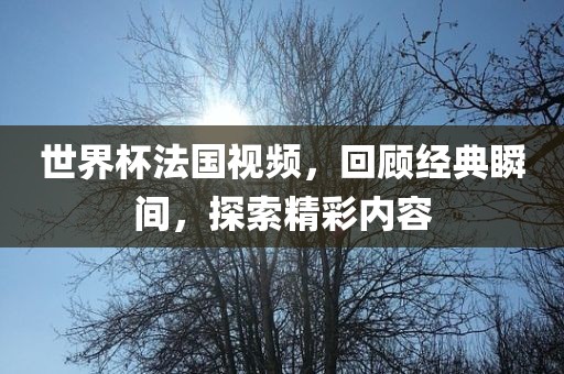 世界杯法国视频，回顾经典瞬间，探索精彩内容金炬实业股份有限公司
