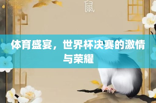 体育盛宴，世界杯决赛的激情与荣耀