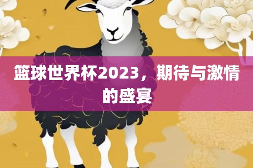 篮球世界杯2023，期待与激情的盛宴