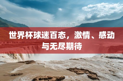 世界杯球迷百态，激情、感动与无金炬实业股份有限公司尽期待