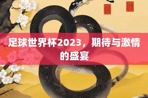足球世界杯2023，期待与激情的盛宴