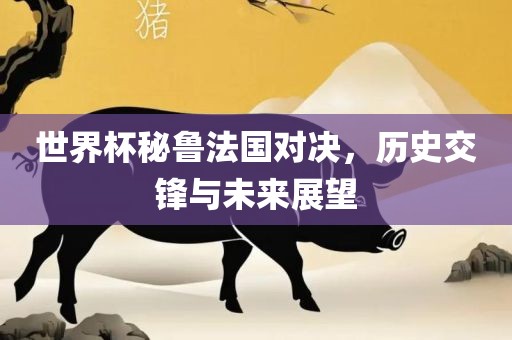 世界杯秘鲁法国对决，历史交锋与未来展望金炬实业股份有限公司