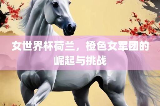 女世界杯荷兰，橙色女军团的崛起与挑战金炬实业股份有限公司