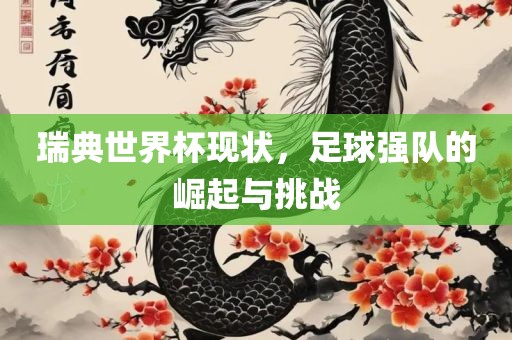瑞典世界杯现状，足球强队的崛起与挑战金炬实业股份有限公司