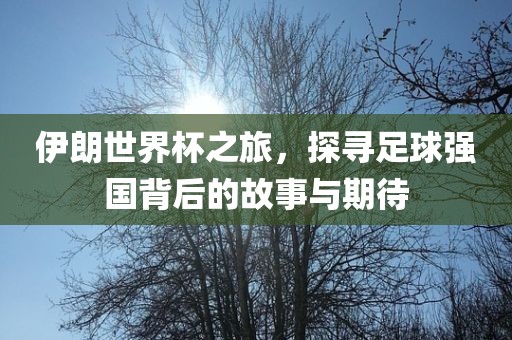 伊朗世界杯之旅，探寻足球强国背后的故事与期待金炬实业股份有限公司
