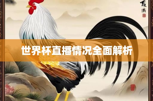 世界杯直播情况全面解析