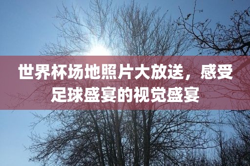 世界杯场地照片大放送，感受足球盛宴的视觉盛宴