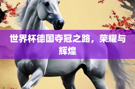 世界杯德国夺冠之路，荣耀与辉煌