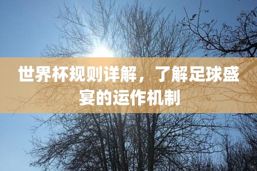 世界杯规则详解，了解足球盛宴的运作机制