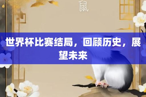 世界杯比赛结局，回顾历史，展望未来