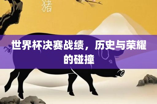 世界杯决赛战绩，历史与荣耀的碰撞金炬实业股份有限公司