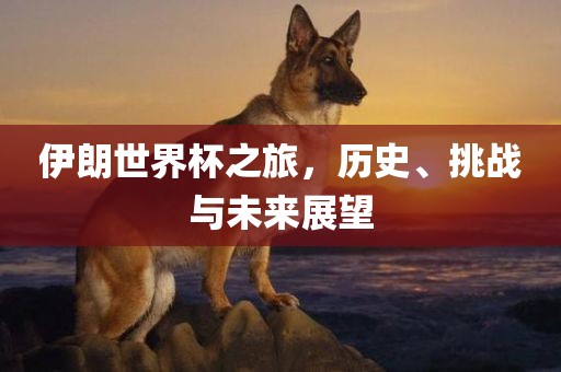 伊朗世界杯之旅，历史、挑战与未来展望